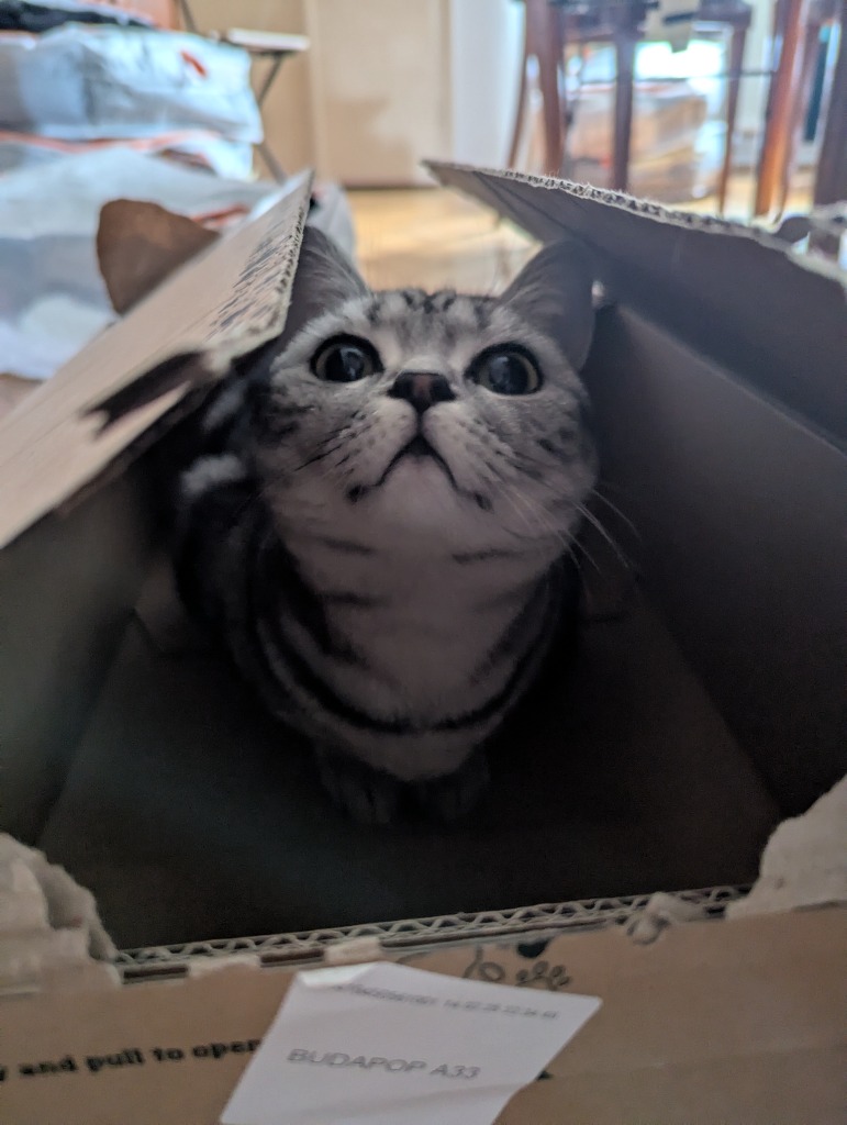 Freya